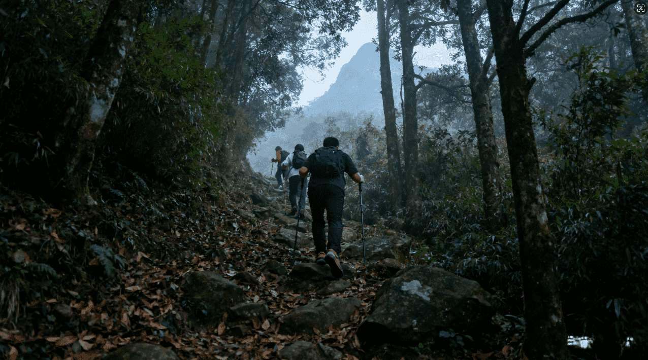 官方渠道下载789加速器的详细流程